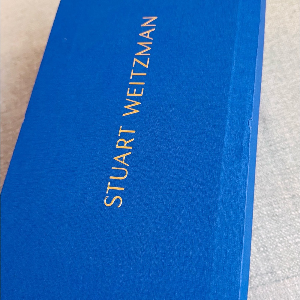 Stuart Weitzman Metallic Lina Point Silver Flats - Picture 9 of 13